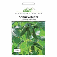 купить семена огурец амур