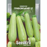купить семена грибовський кабачок