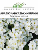 купить семена арабис кавказкий белый