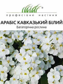 купить семена арабис кавказкий белый