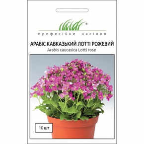купить семена цветов арабис кавказский лотти