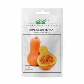 купить семена баттернат тыква