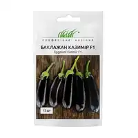 купить семена казимир баклажан