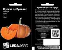 семена тыква Мускат де Прованс
