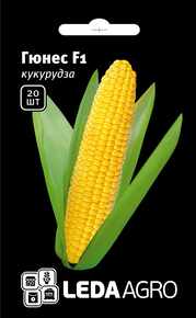 семена кукурузы Гюнес F1