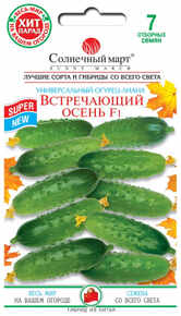 купить семена встречающий осень огурец