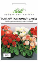 купить семена маргаритка помпон смесь