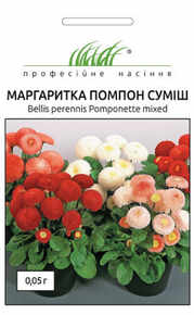 купить семена маргаритка помпон смесь