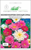 купить семена цветов космея махровая сенсация смесь