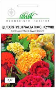 купить семена целозия гребенчатая пижон смесь