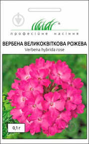 купить семена вербена крупноцветная розовая