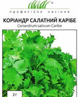 купить семена карибе кориандр