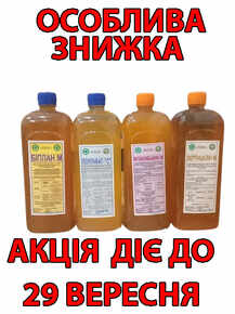 спеціальна осіння акціонна пропозиція