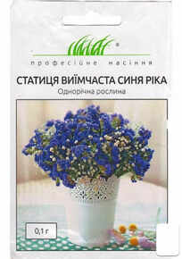 купить семена статица синяя река