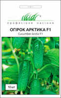 купить семена арктика огурец