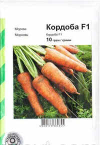 купить семена кордоба F1 морковь ранняя