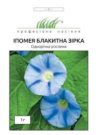 купить семена ипомея голубая звезда