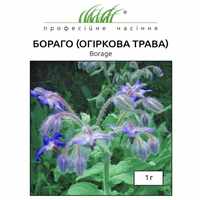 купить семена бораго огуречная трава