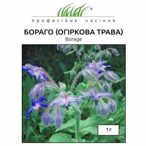 купить семена бораго огуречная трава