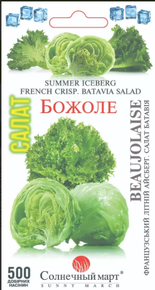 купить семена божоле салат