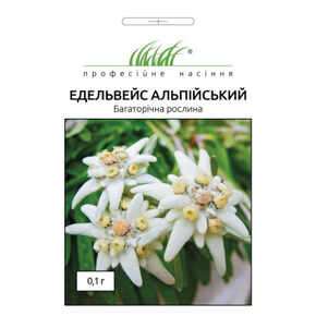 купить семена эдельвейс альпийский