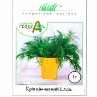 купить семена элла укроп комнатный