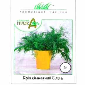 купить семена элла укроп комнатный
