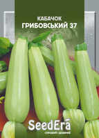 купить семена грибовский кабачок