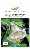 купить семена кобея белые паруса