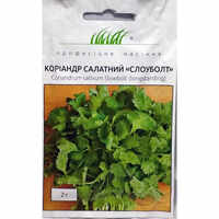 купить семена слоуболт кориандр