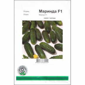 купить семена маринда F1 огурец