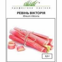 купить семена ревень виктория