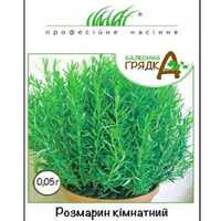 купить семена розмарин комнатный