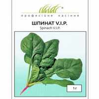 купить семена шпинат VIP
