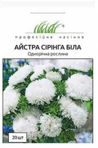 купить семена астра китайская сиринга белая