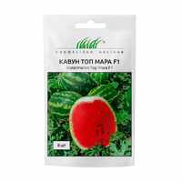 купить семена топ мара