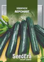кабачок аэронавт