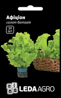 Купить семена салат афицион