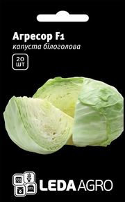 Купить семена капуста агрессор