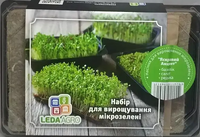 Купить набор микрозелени яркий акцент