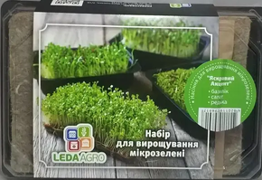 Купить набор микрозелени яркий акцент