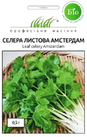 Купить семена сельдерей амстердам