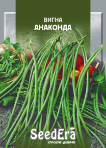 Купить семена вигна анаконда
