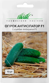 Купить семена огурцов антисипатор