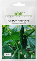 насіння анвар огірок