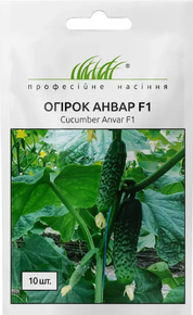 насіння анвар огірок