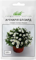 насіння квіти аренарія