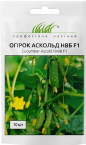 семена огурец аскольд F1  