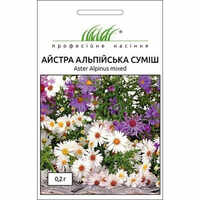 купить семена цветов астра альпийская смесь