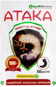 атака хрущ